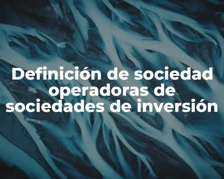 Definición de sociedad operadoras de sociedades de inversión