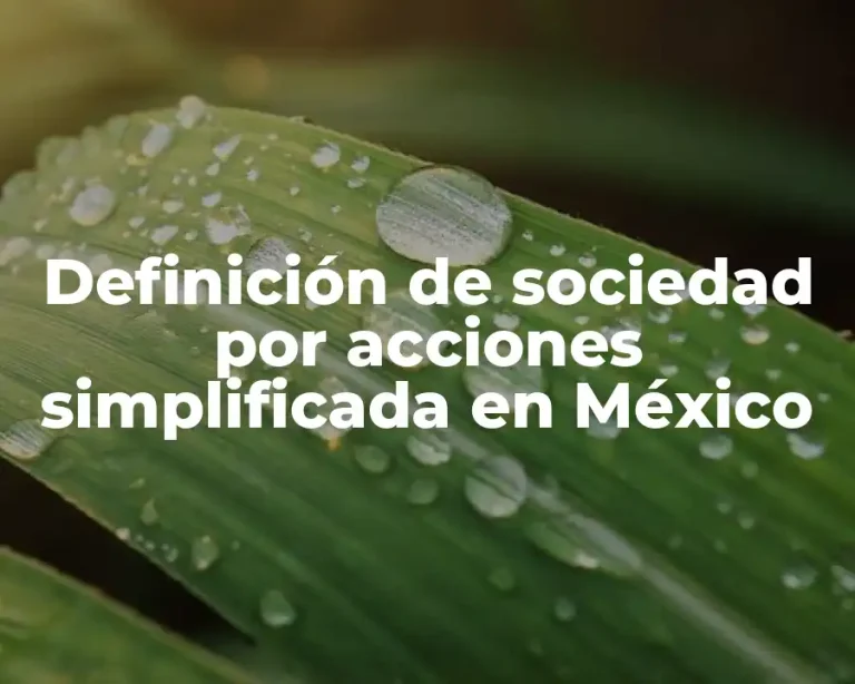 Definición de sociedad por acciones simplificada en México