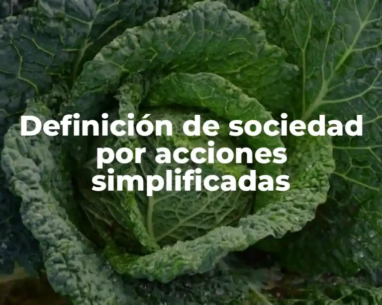 Definición de sociedad por acciones simplificadas