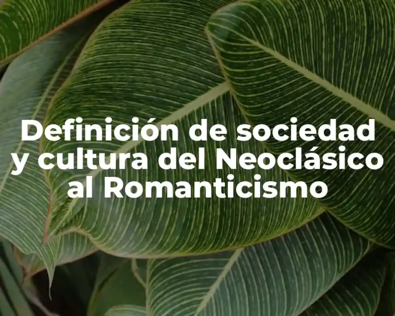 Definición de sociedad y cultura del Neoclásico al Romanticismo