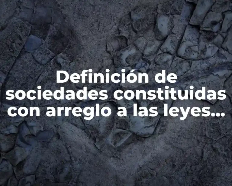 Definición de sociedades constituidas con arreglo a las leyes mercantiles