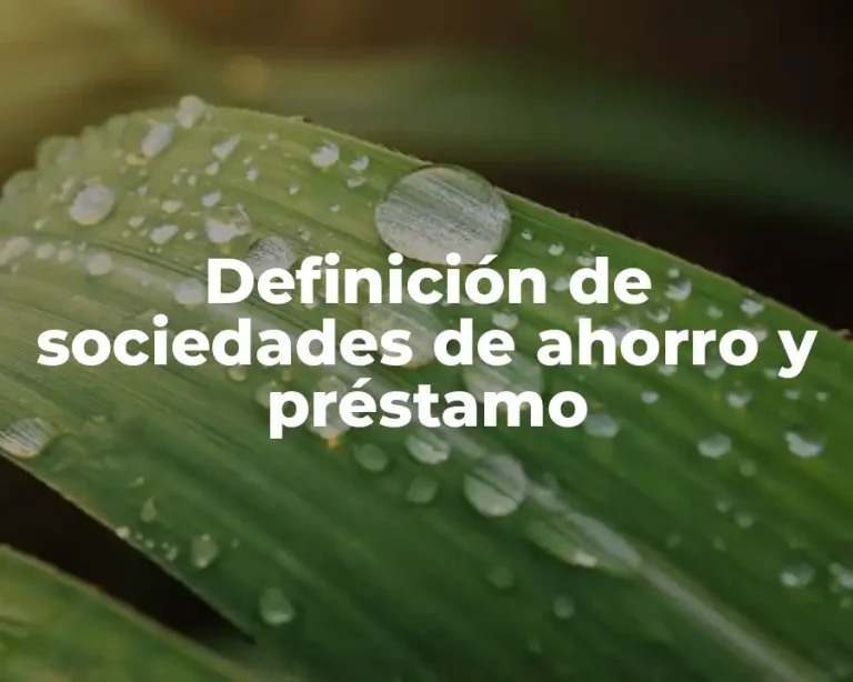 Definición de sociedades de ahorro y préstamo