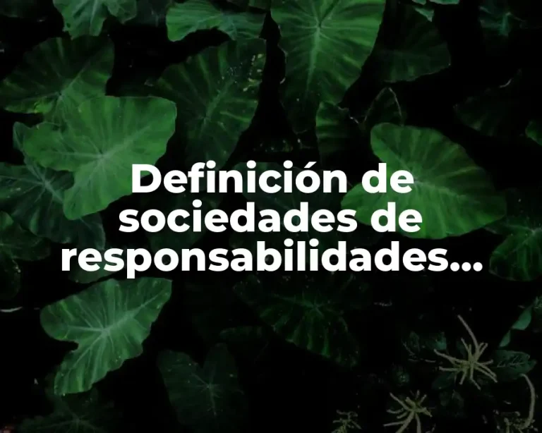 Definición de sociedades de responsabilidades limitadas en México