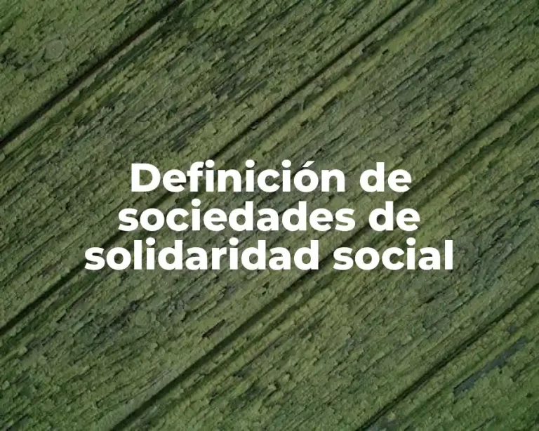 Definición de sociedades de solidaridad social