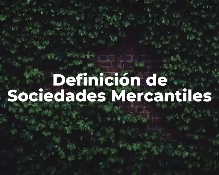 Definición de Sociedades Mercantiles