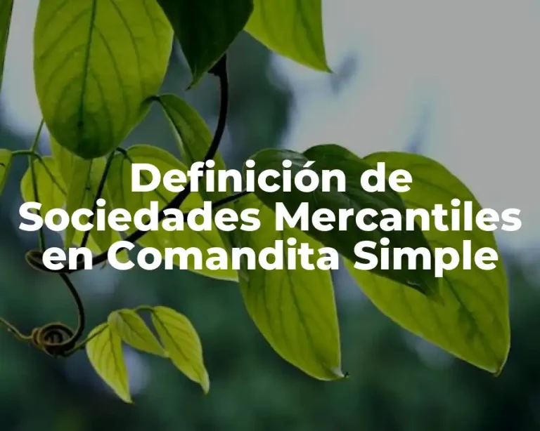 Definición de Sociedades Mercantiles en Comandita Simple