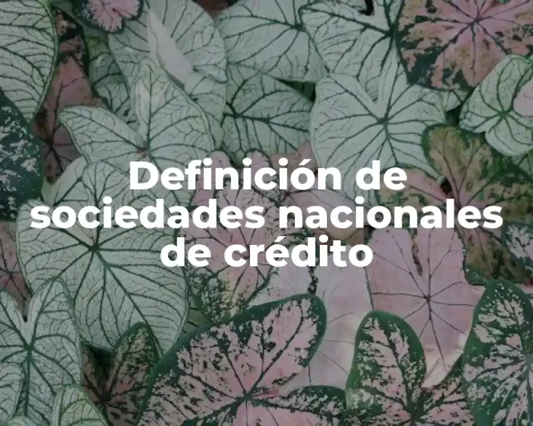 Definición de sociedades nacionales de crédito
