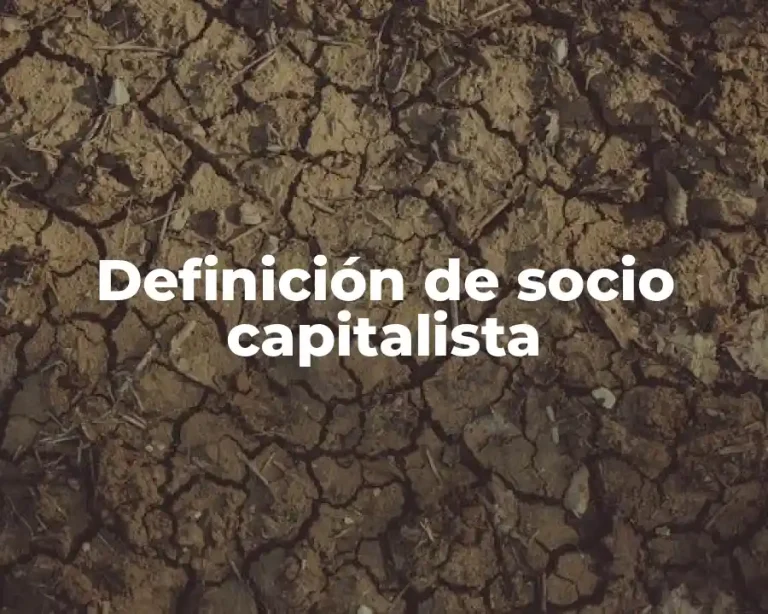 Definición de socio capitalista