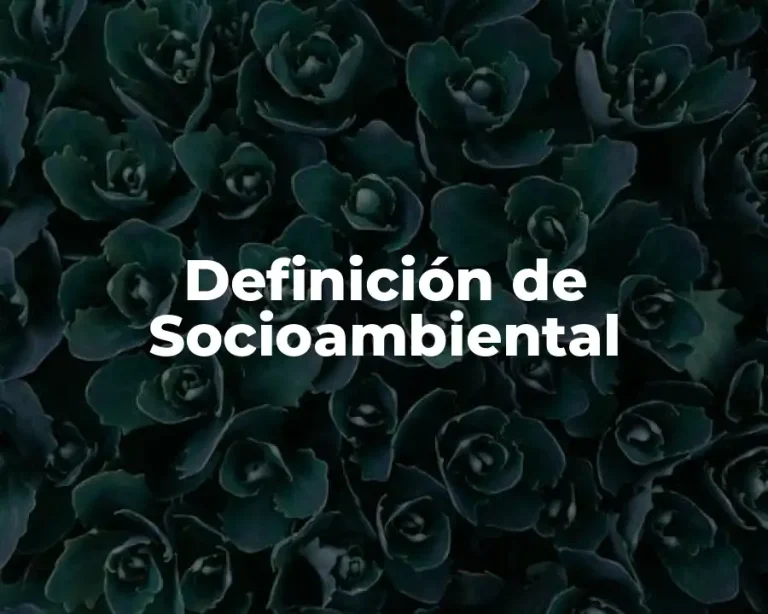 Definición de Socioambiental