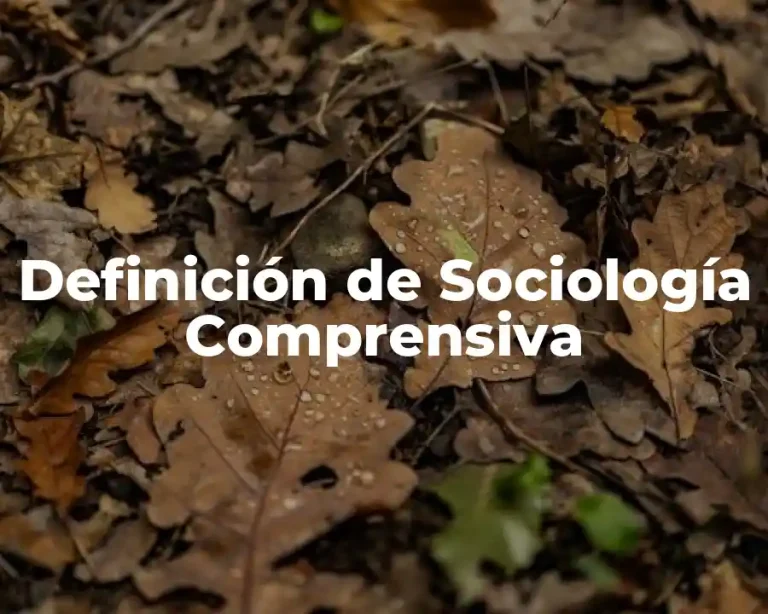 Definición de Sociología Comprensiva