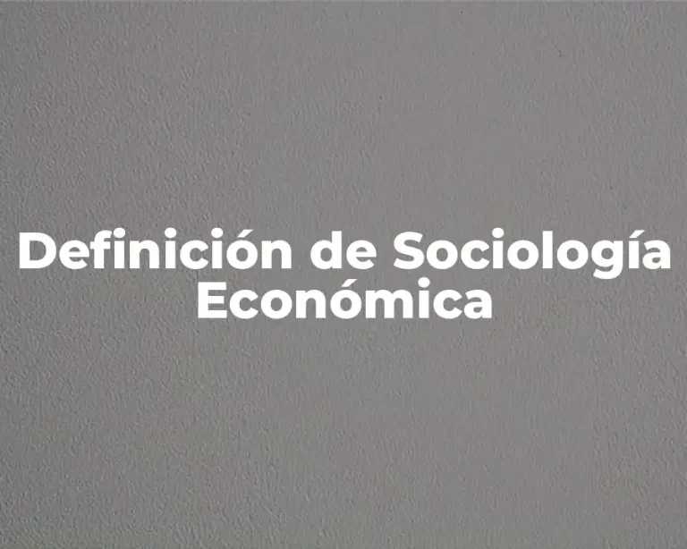 Definición de Sociología Económica