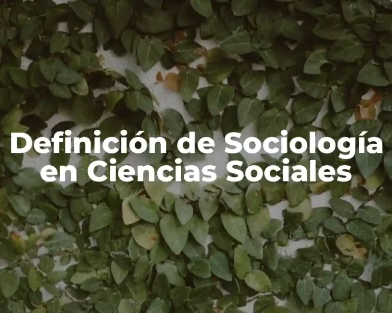 Definición de Sociología en Ciencias Sociales