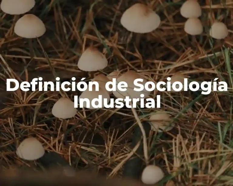 Definición de Sociología Industrial