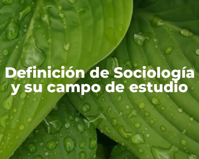 Definición de Sociología y su campo de estudio