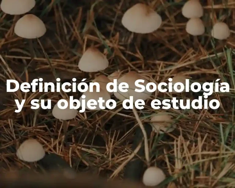 Definición de Sociología y su objeto de estudio