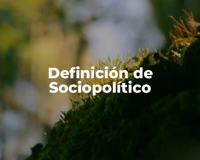 Definición de Sociopolítico