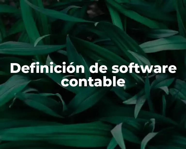 Definición de software contable