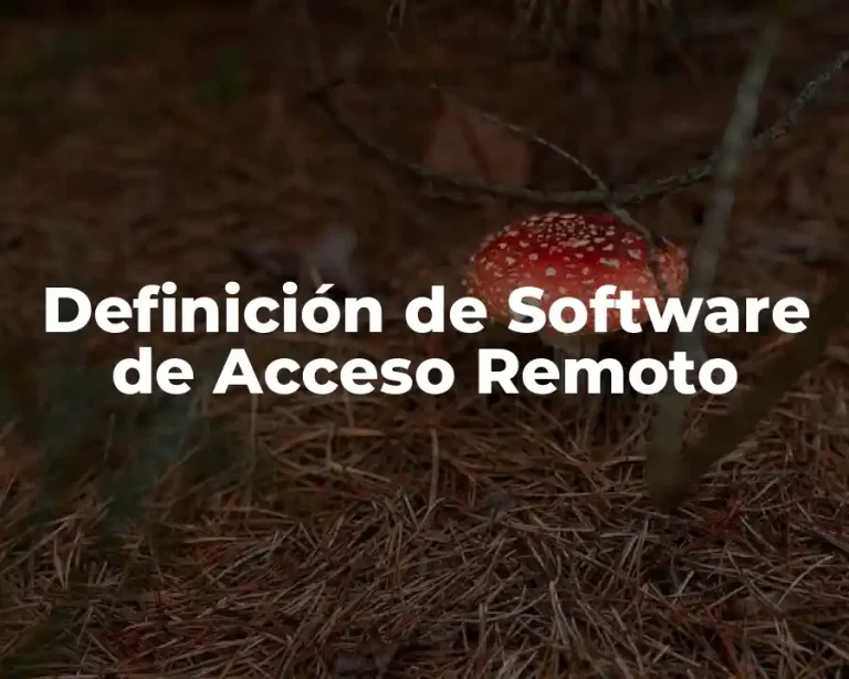 Definición de Software de Acceso Remoto