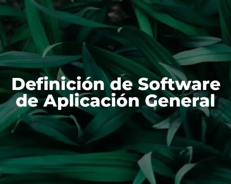 Definición de Software de Aplicación General