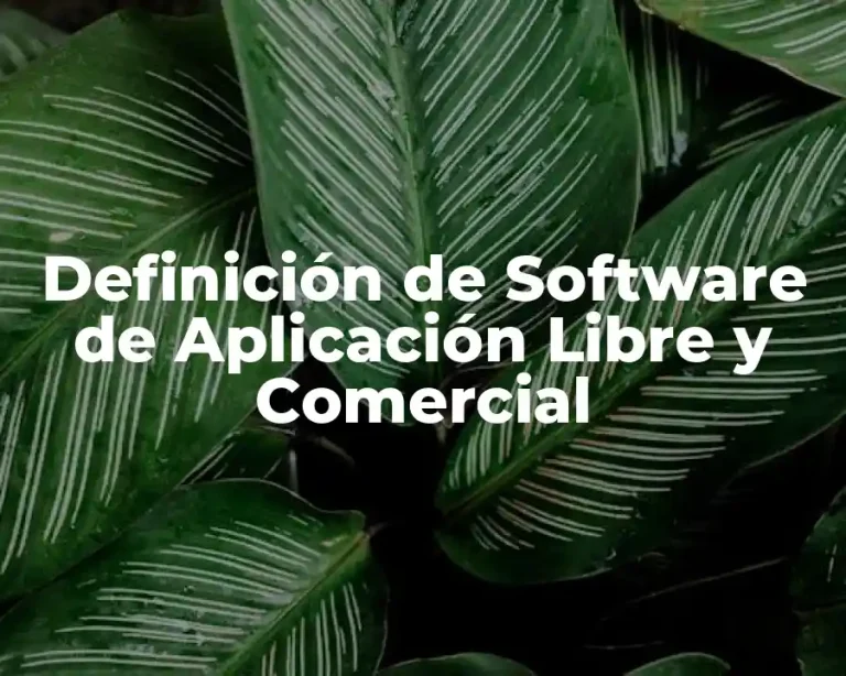 Definición de Software de Aplicación Libre y Comercial