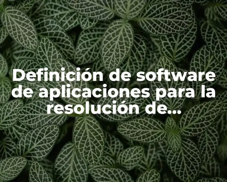Definición de software de aplicaciones para la resolución de problemas