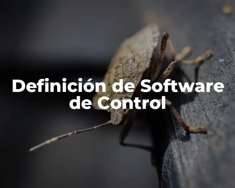 Definición de Software de Control