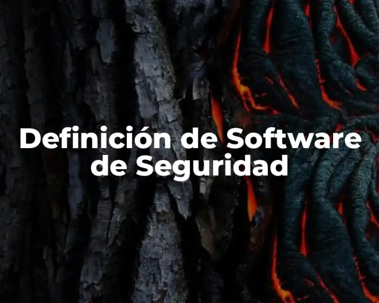 Definición de Software de Seguridad