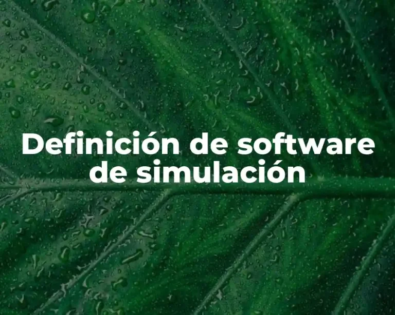 Definición de software de simulación