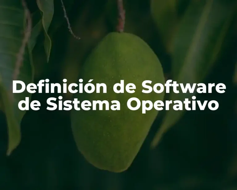 Definición de Software de Sistema Operativo