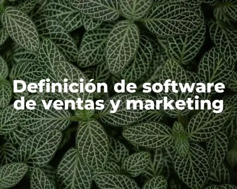 Definición de software de ventas y marketing