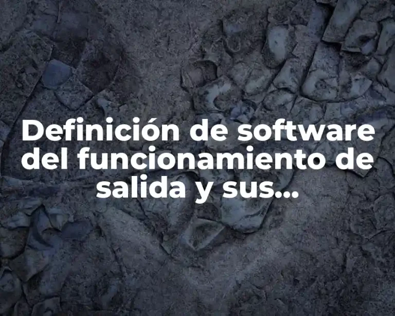 Definición de software del funcionamiento de salida y sus características