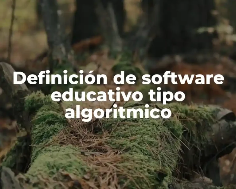 Definición de software educativo tipo algoritmico