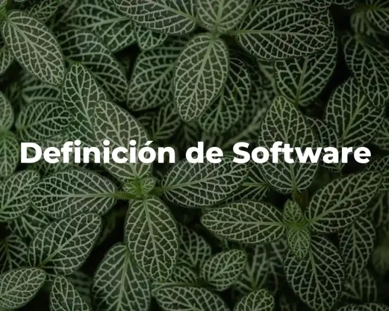 Definición de Software