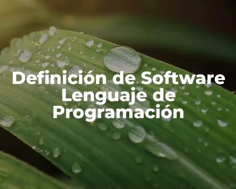 Definición de Software Lenguaje de Programación