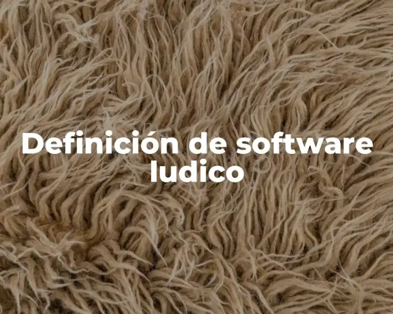 Definición de software ludico