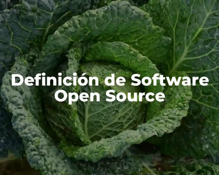 Definición de Software Open Source