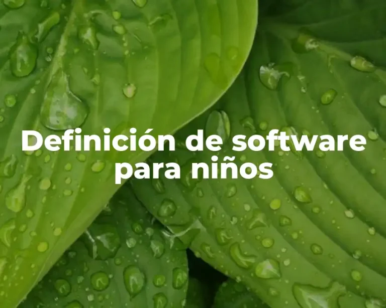 Definición de software para niños