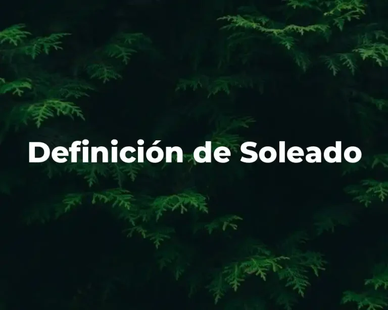 Definición de Soleado