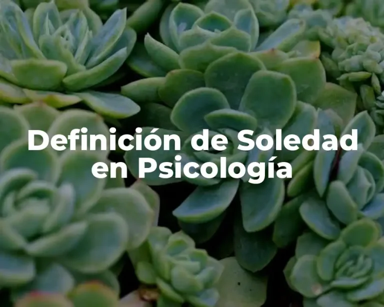 Definición de Soledad en Psicología