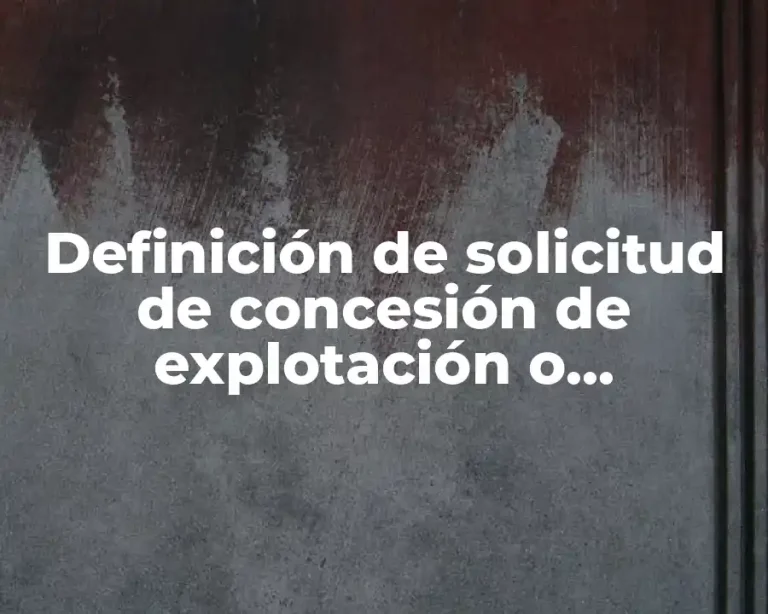 Definición de solicitud de concesión de explotación o asignación minera