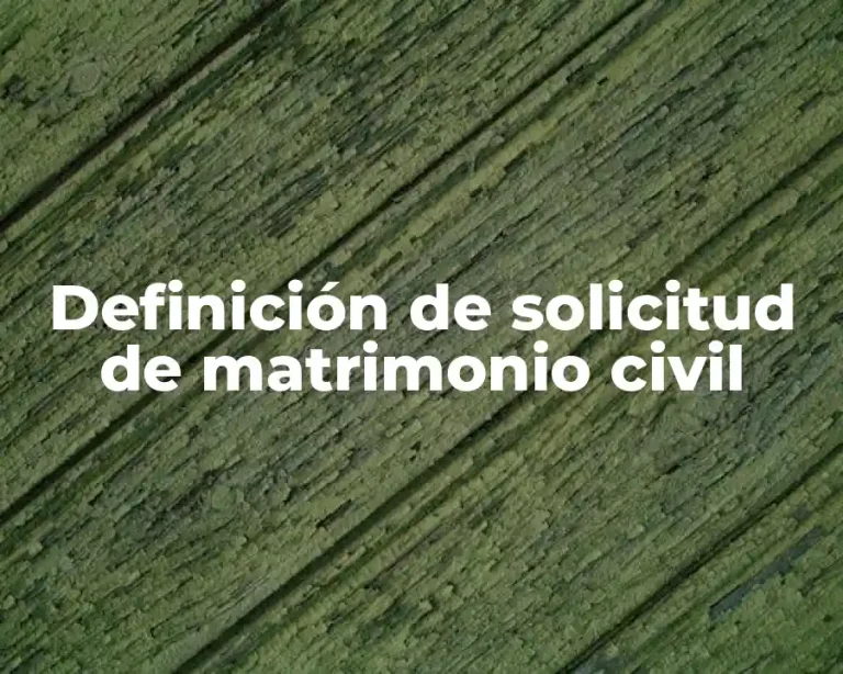 Definición de solicitud de matrimonio civil