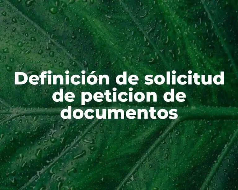 Definición de solicitud de peticion de documentos