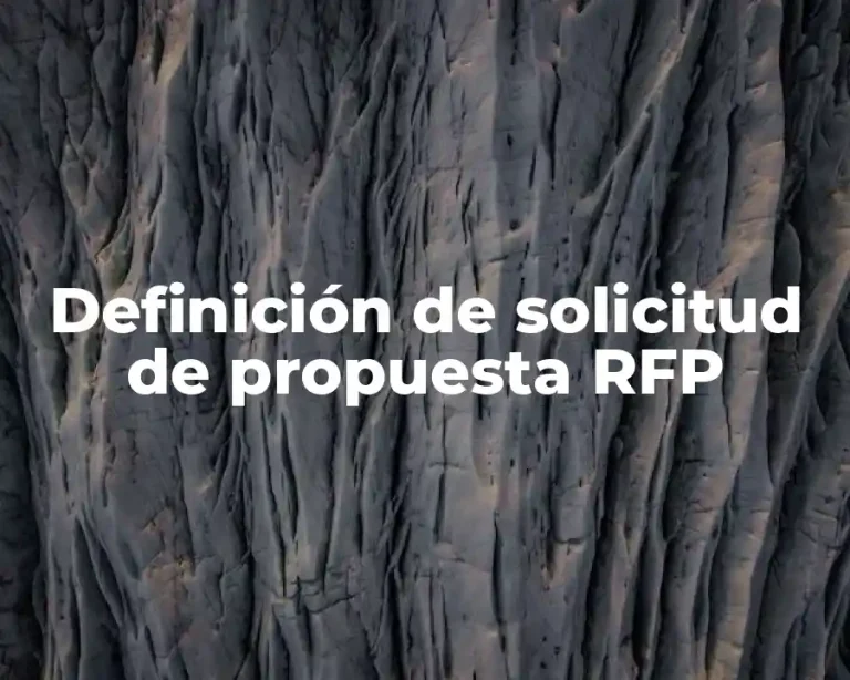 Definición de solicitud de propuesta RFP