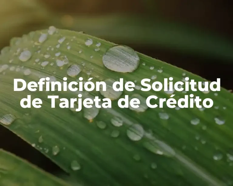 Definición de Solicitud de Tarjeta de Crédito