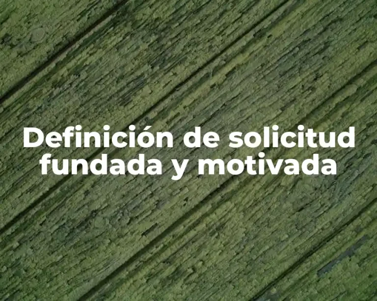 Definición de solicitud fundada y motivada