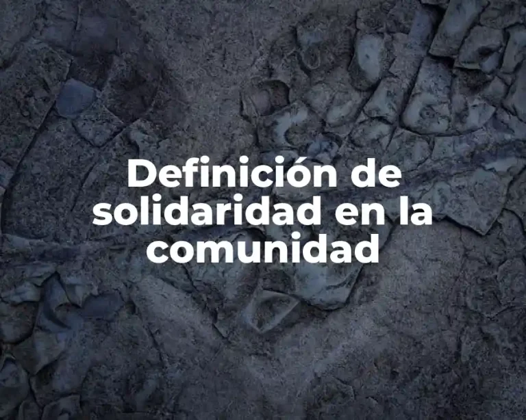 Definición de solidaridad en la comunidad
