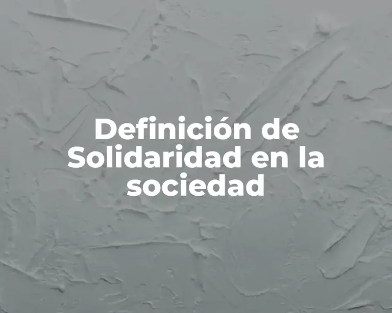 Definición de Solidaridad en la sociedad