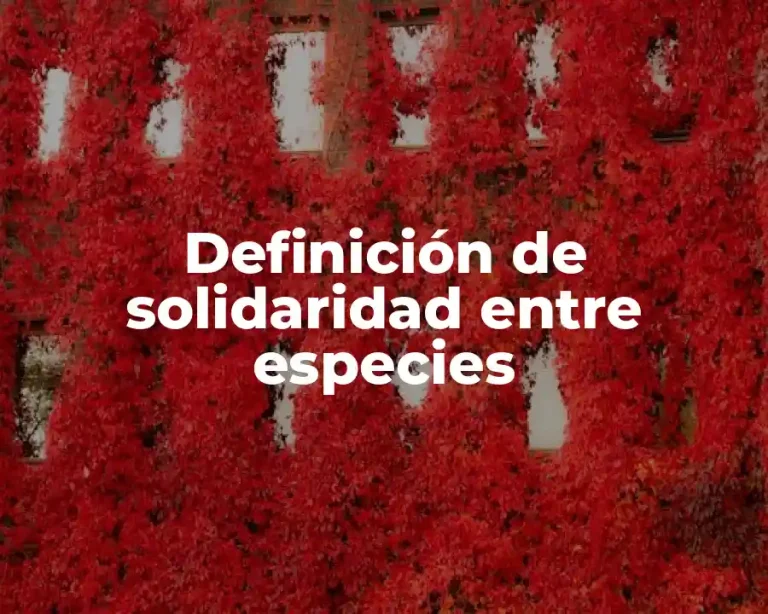 Definición de solidaridad entre especies