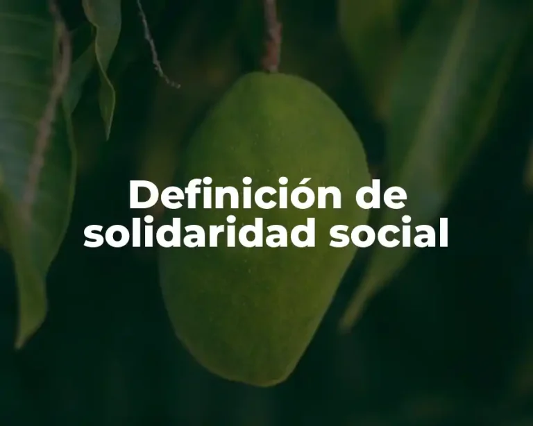 Definición de solidaridad social