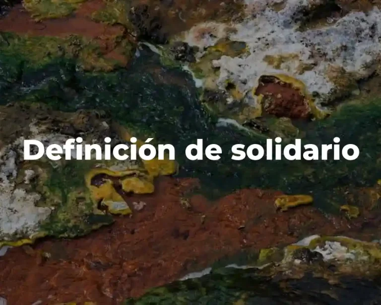 Definición de solidario